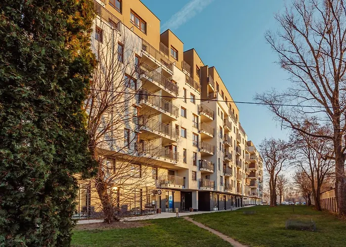 Chill Jana Kazimierza